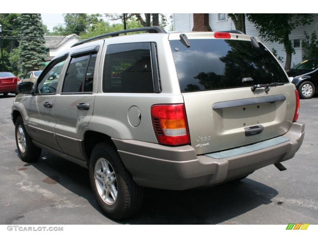2003 Grand Cherokee Laredo 4x4 - Light Pewter Metallic / Dark Slate Gray photo #9