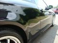 Black Obsidian - G 35 Coupe Photo No. 16