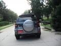 Flint Mica - RAV4 4WD Photo No. 10
