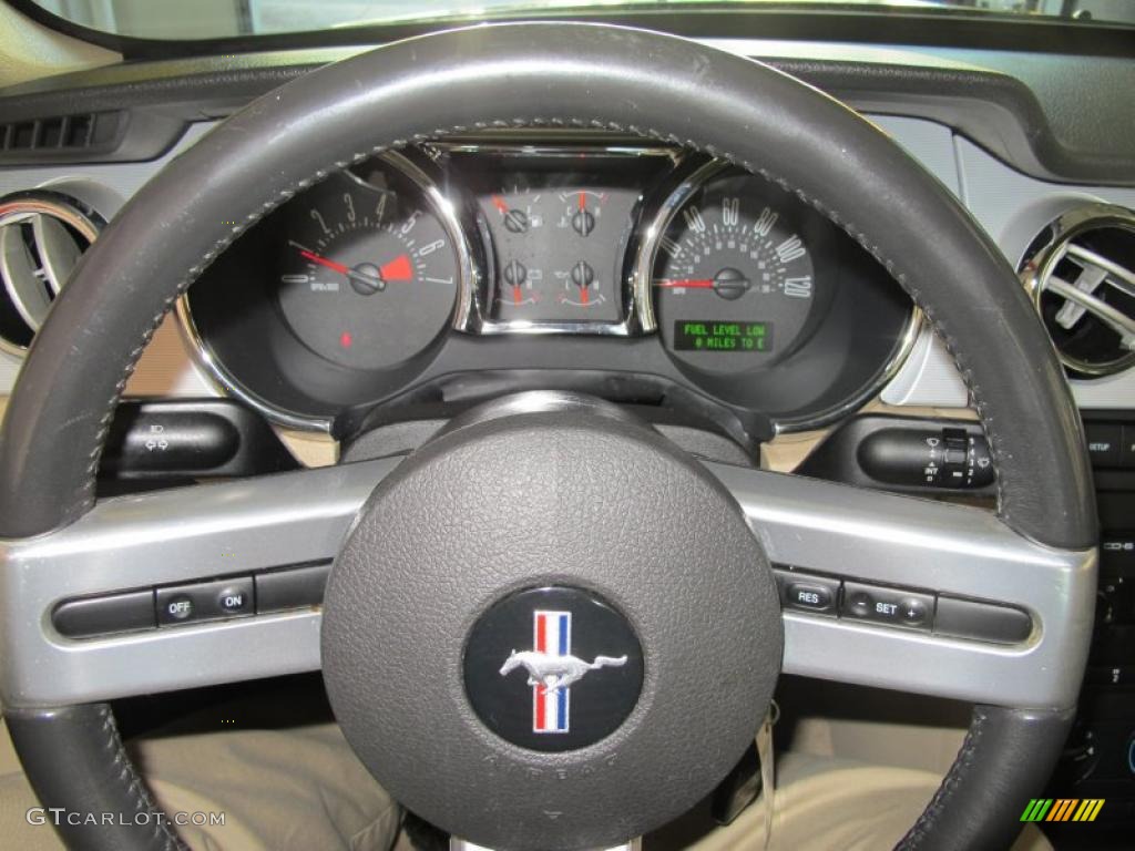 2006 Mustang V6 Premium Coupe - Black / Light Graphite photo #14