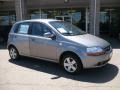 Medium Gray - Aveo 5 LS Hatchback Photo No. 1