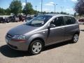 Medium Gray - Aveo 5 LS Hatchback Photo No. 2