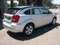 Bright Silver Metallic - Caliber SXT Photo No. 6