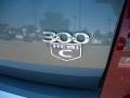 Magnesium Pearlcoat - 300 C HEMI Photo No. 14