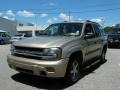 Silverstone Metallic - TrailBlazer LS Photo No. 1