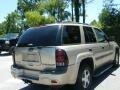 Silverstone Metallic - TrailBlazer LS Photo No. 5