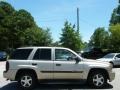 Silverstone Metallic - TrailBlazer LS Photo No. 6