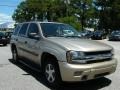 Silverstone Metallic - TrailBlazer LS Photo No. 7