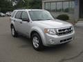 Silver Metallic - Escape XLT Photo No. 9