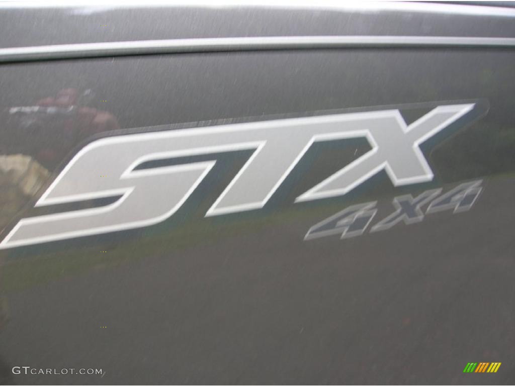 2004 F150 STX SuperCab 4x4 - Dark Shadow Grey Metallic / Medium Graphite photo #6