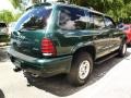 Forest Green Pearlcoat - Durango SLT 4x4 Photo No. 3