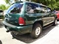 1999 Forest Green Pearlcoat Dodge Durango SLT 4x4  photo #3