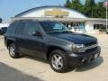 Graphite Metallic - TrailBlazer LS 4x4 Photo No. 3