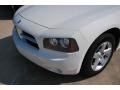 Stone White - Charger SXT Photo No. 8