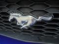 2005 Sonic Blue Metallic Ford Mustang GT Premium Coupe  photo #19