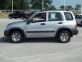 Silky Silver Metallic - Grand Vitara LX Photo No. 13
