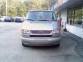 Silver Gray - EuroVan GLS Photo No. 3