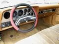 Chamois Dashboard Photo for 1979 Ford Ranchero #34570359