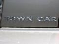 Light French Silk Metallic - Town Car Signature Limited Photo No. 9
