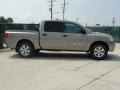 Desert Stone - Titan SE Crew Cab Photo No. 2