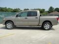 Desert Stone - Titan SE Crew Cab Photo No. 6