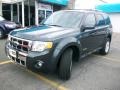 Black Pearl Slate Metallic - Escape Limited 4WD Photo No. 1