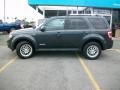 Black Pearl Slate Metallic - Escape Limited 4WD Photo No. 2