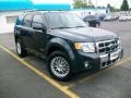 Black Pearl Slate Metallic - Escape Limited 4WD Photo No. 6