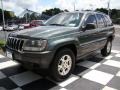 2003 Onyx Green Pearlcoat Jeep Grand Cherokee Laredo  photo #3