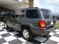 2003 Onyx Green Pearlcoat Jeep Grand Cherokee Laredo  photo #9
