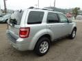 2008 Silver Metallic Ford Escape Limited 4WD  photo #4