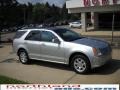 Light Platinum - SRX 4 V6 AWD Photo No. 14