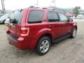 2008 Redfire Metallic Ford Escape Limited 4WD  photo #4