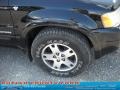 Black Clearcoat - Escape XLT V6 4WD Photo No. 19