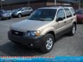 2007 Dune Pearl Metallic Ford Escape XLT V6 4WD  photo #16