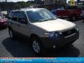 2007 Dune Pearl Metallic Ford Escape XLT V6 4WD  photo #18