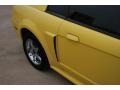 2003 Zinc Yellow Ford Mustang GT Coupe  photo #6