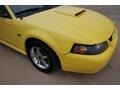 2003 Zinc Yellow Ford Mustang GT Coupe  photo #7