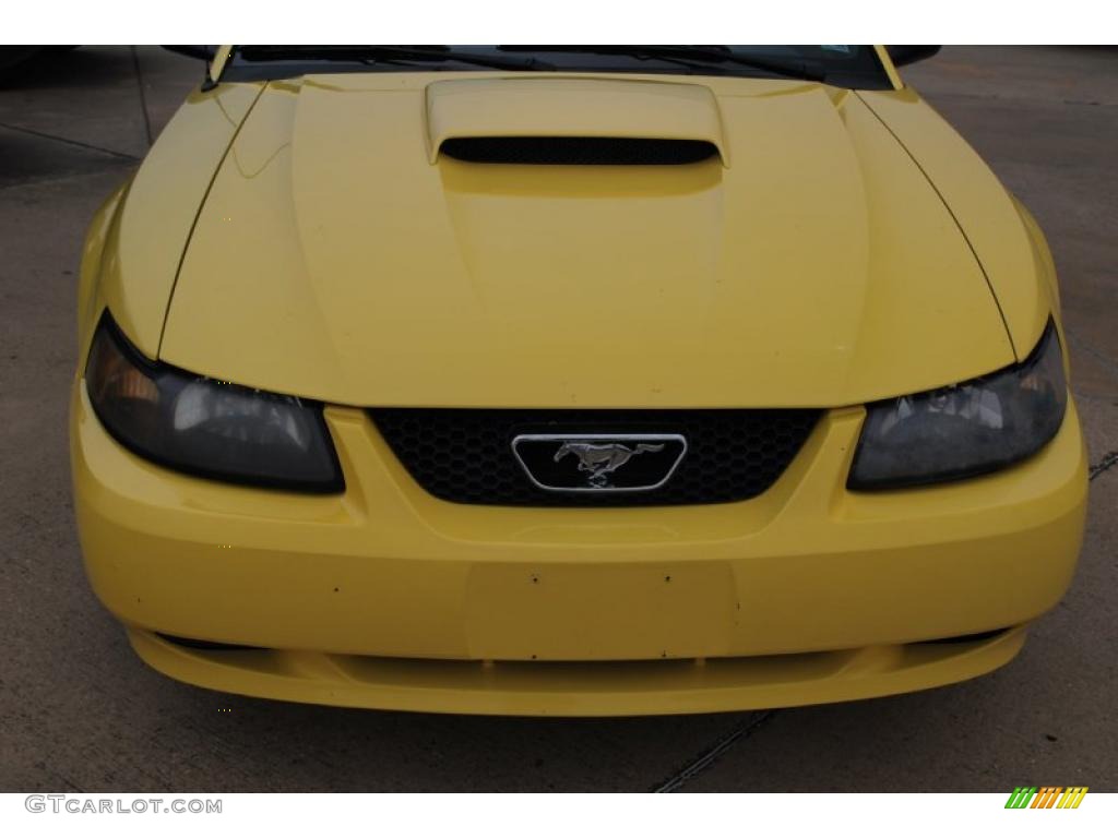 2003 Mustang GT Coupe - Zinc Yellow / Dark Charcoal photo #9