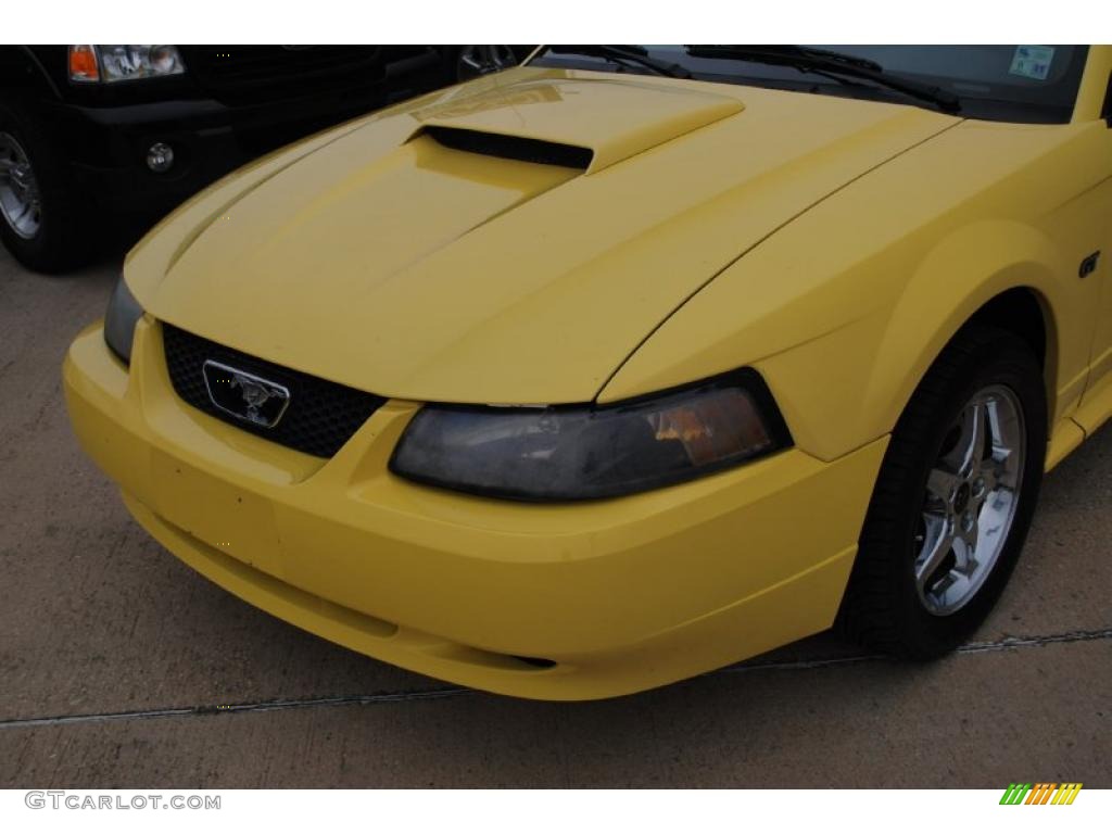 2003 Mustang GT Coupe - Zinc Yellow / Dark Charcoal photo #10