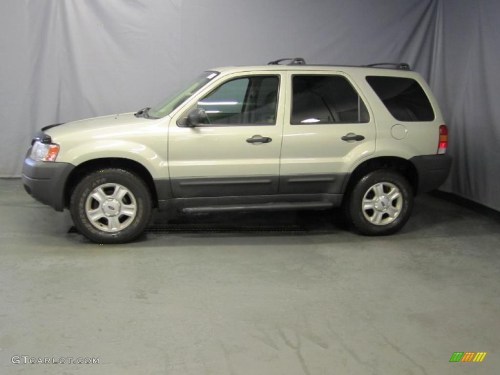 2003 Escape XLT V6 4WD - Gold Ash Metallic / Medium Dark Pebble photo #2