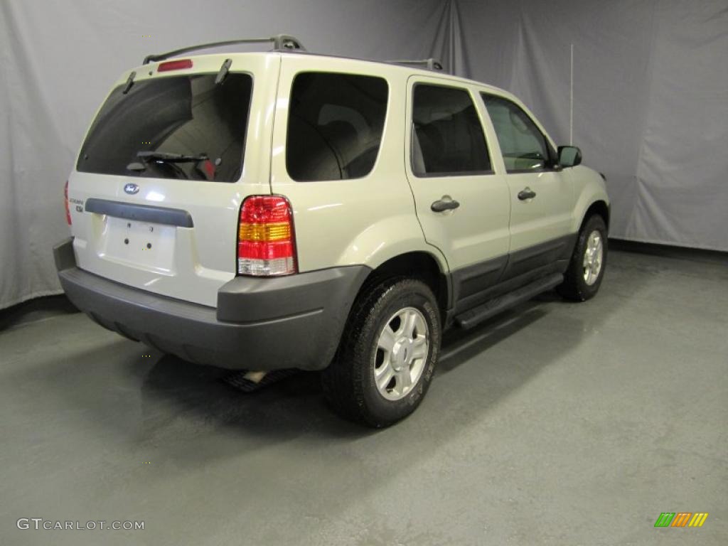 2003 Escape XLT V6 4WD - Gold Ash Metallic / Medium Dark Pebble photo #3