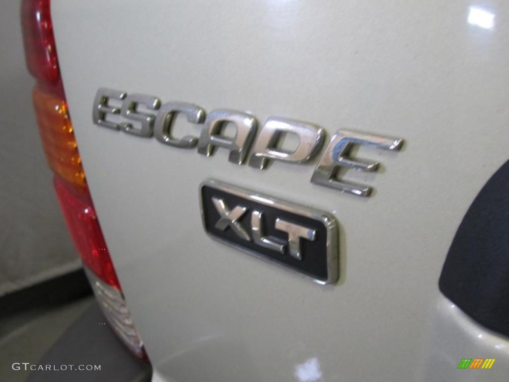 2003 Escape XLT V6 4WD - Gold Ash Metallic / Medium Dark Pebble photo #5