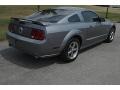 2006 Tungsten Grey Metallic Ford Mustang GT Premium Coupe  photo #3