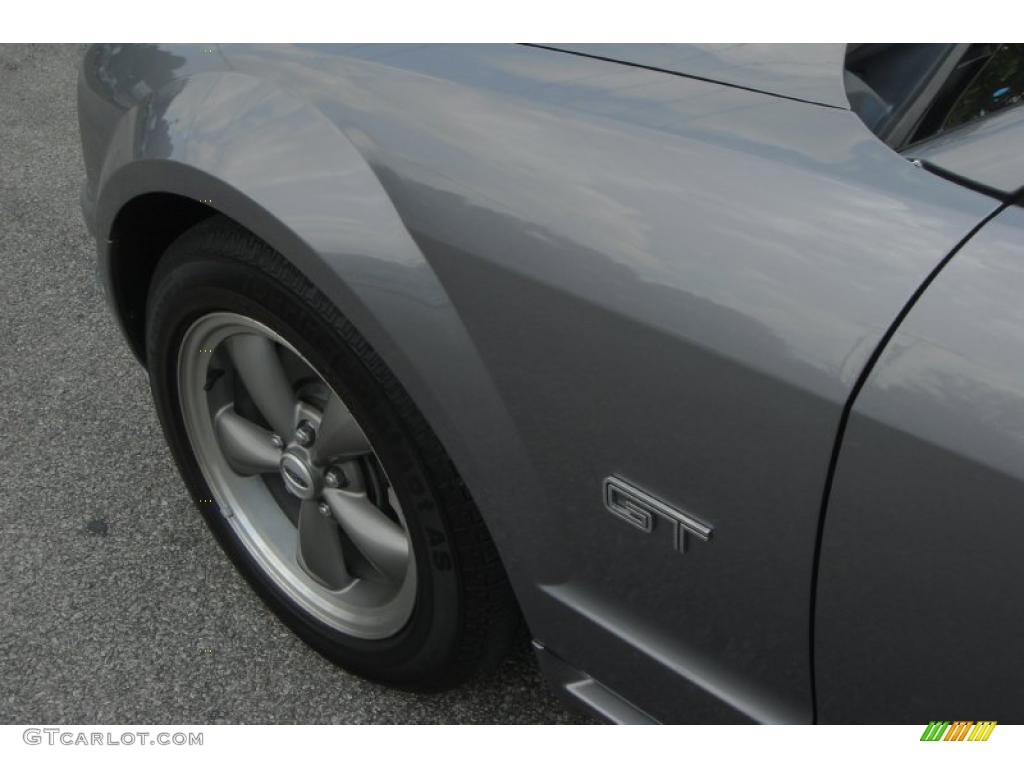 2006 Mustang GT Premium Coupe - Tungsten Grey Metallic / Dark Charcoal photo #28