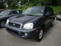 2004 Moonlit Blue Hyundai Santa Fe LX 4WD  photo #5