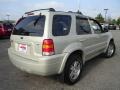 2005 Gold Ash Metallic Ford Escape Limited 4WD  photo #5