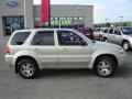 2005 Gold Ash Metallic Ford Escape Limited 4WD  photo #6