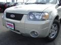 2005 Gold Ash Metallic Ford Escape Limited 4WD  photo #9