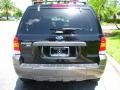 2005 Black Ford Escape XLT V6  photo #7